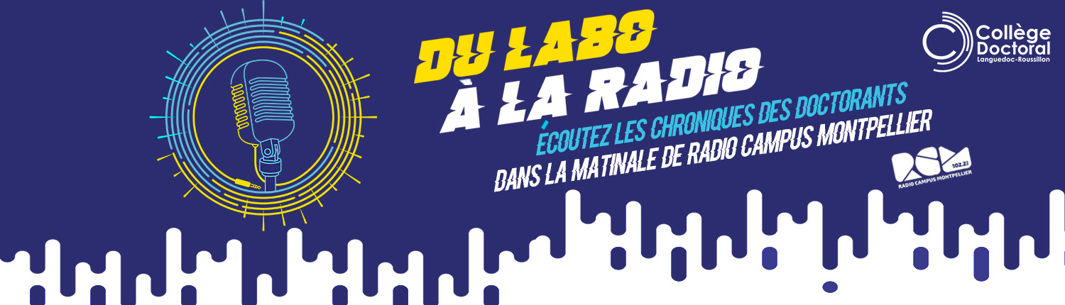 DLAR_site_internet_slide_1500x430_chronique_doctorants